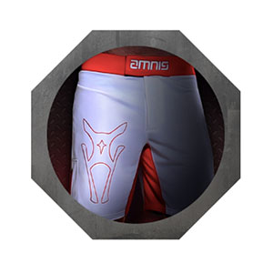 Approved Fight Shorts